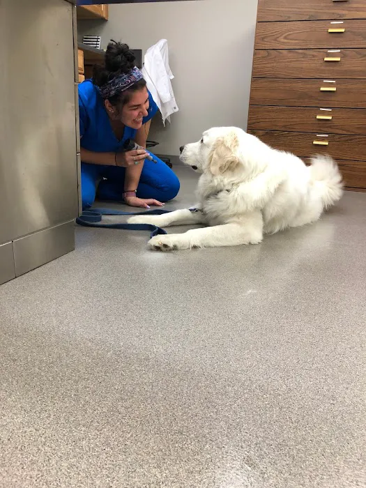 Fort Henry Animal Hospital Picture 5