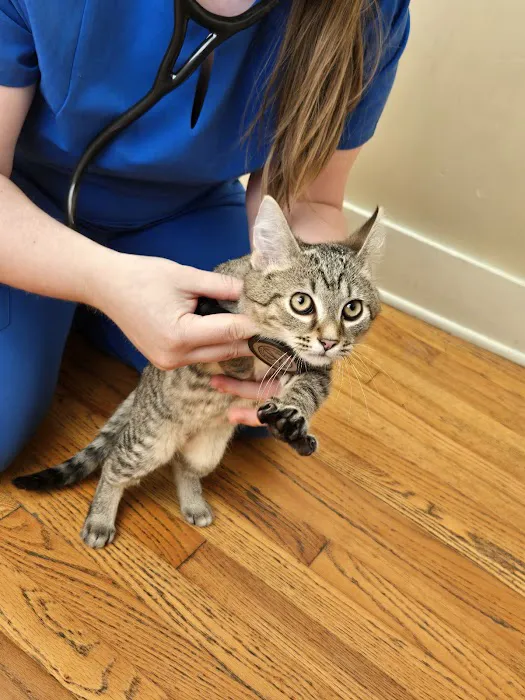 Robinson Animal Hospital: Picture 1