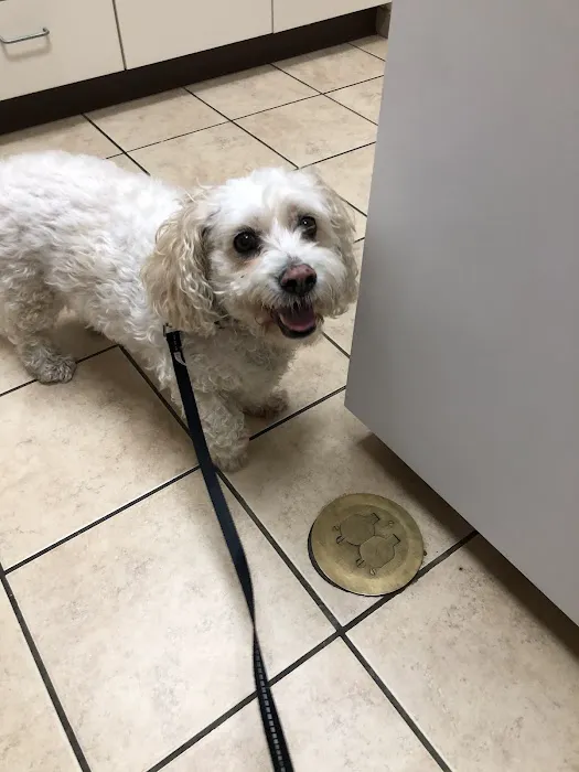 Andes-Straley Veterinary Hospital Picture 1