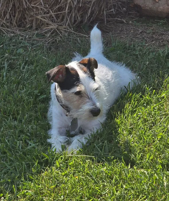 Andes-Straley Veterinary Hospital Picture 10