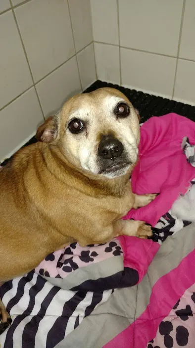 Andes-Straley Veterinary Hospital Picture 7