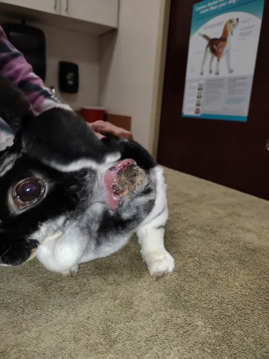 Andes-Straley Veterinary Hospital Picture 4