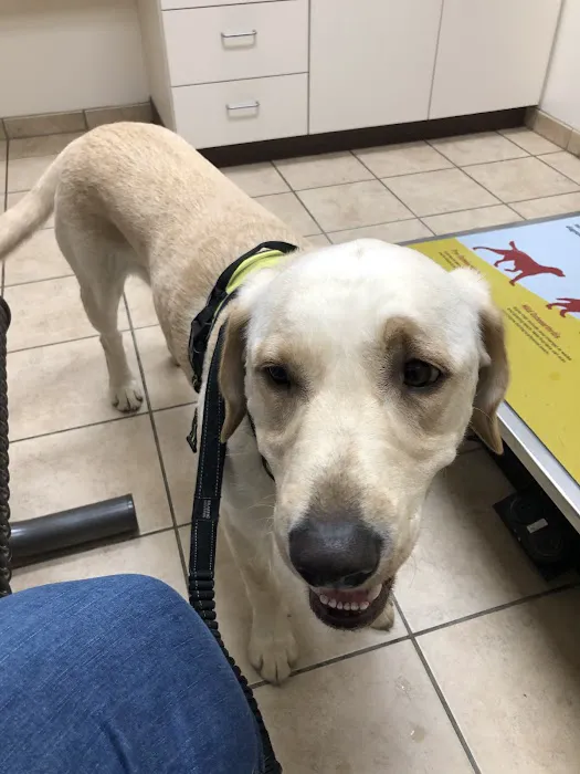 Andes-Straley Veterinary Hospital Picture 2