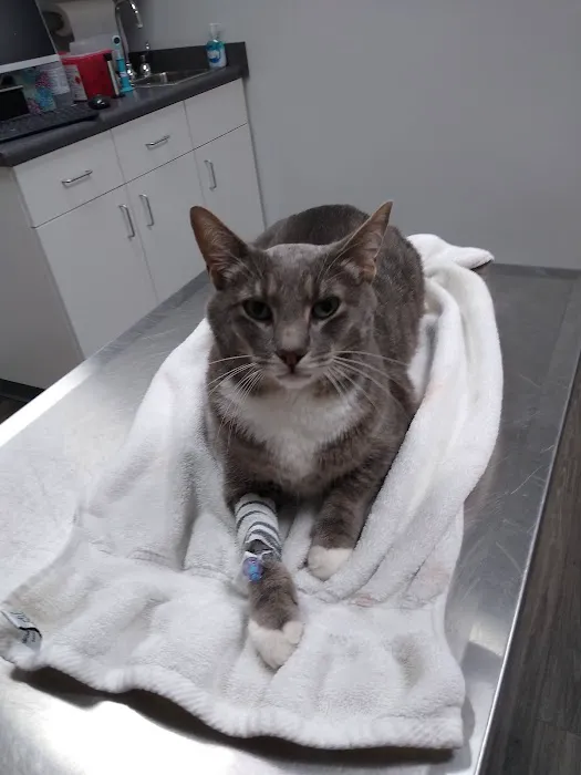 Ferguson Animal Hospital Picture 7