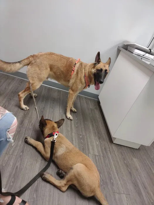 Ferguson Animal Hospital Picture 6