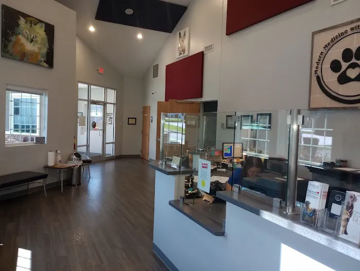 Ferguson Animal Hospital Picture 5