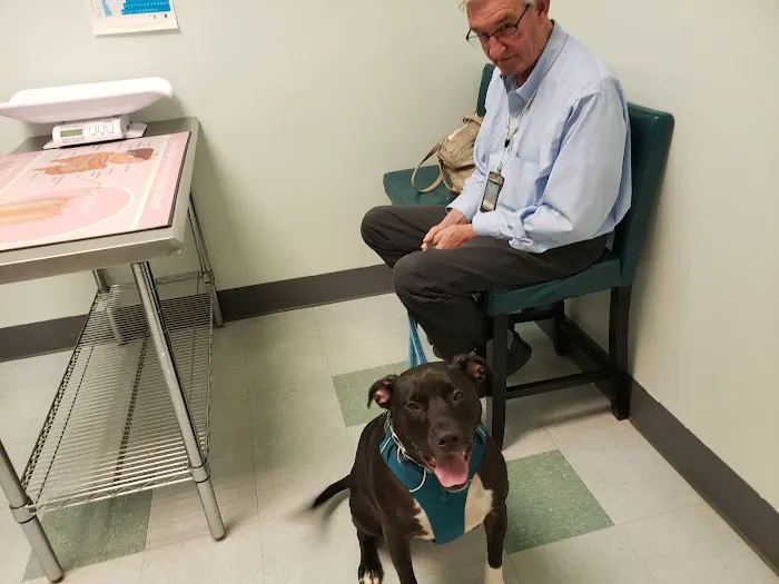 Family Pet Animal Hospital Picture 6