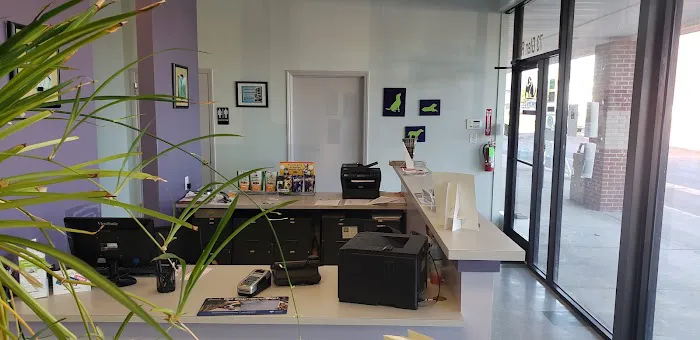 Family Pet Animal Hospital Picture 1