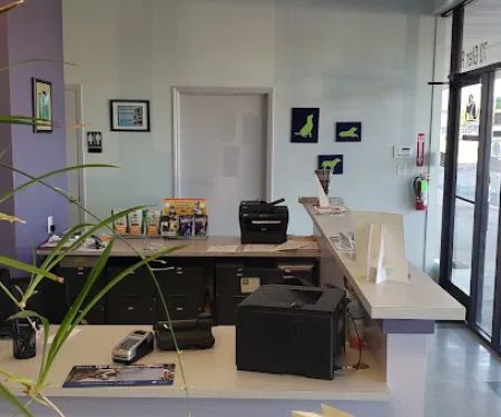 Family Pet Animal Hospital