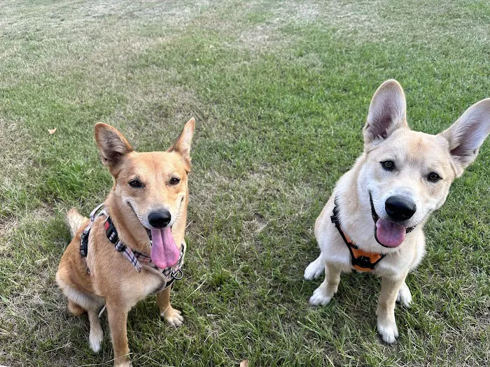 Family Pet Animal Hospital Picture 8