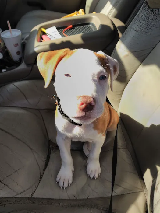 Banfield Pet Hospital Picture 5