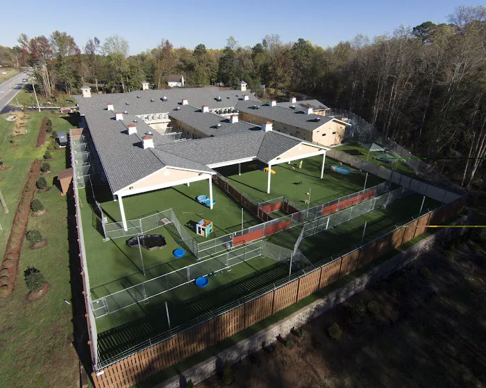 Carolina Ranch Animal Hospital & Resort Picture 10