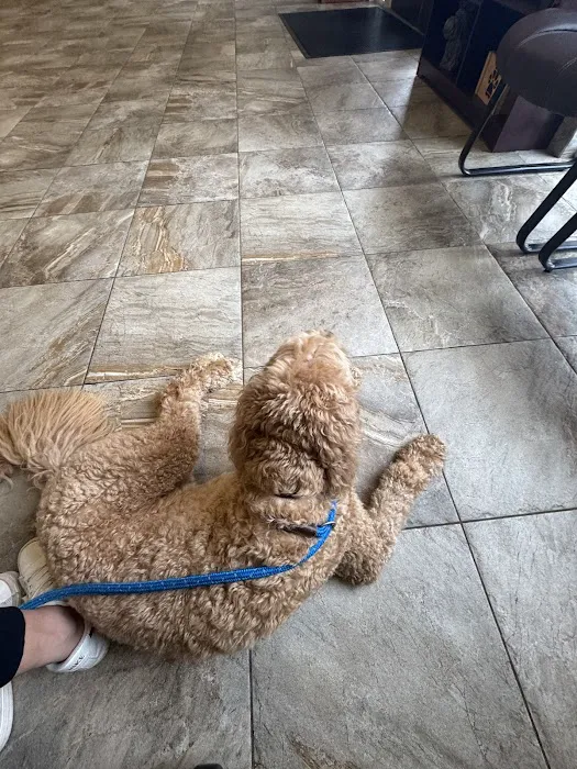 Carolina Ranch Animal Hospital & Resort Picture 2
