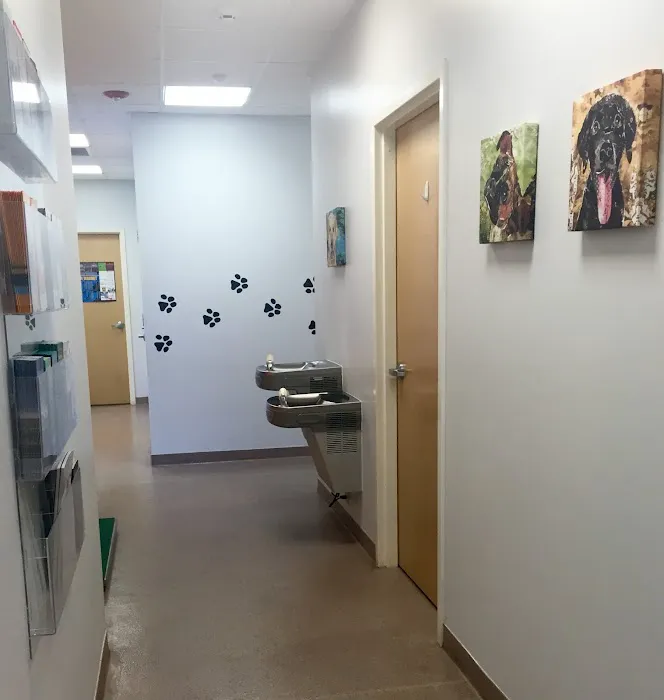 AMC of Garner Veterinary Hospital Picture 2