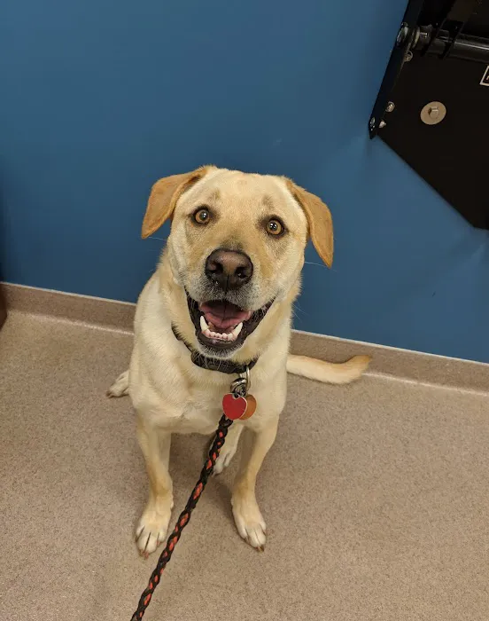 AMC of Garner Veterinary Hospital Picture 6