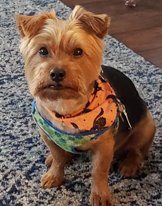 Banfield Pet Hospital Picture 4