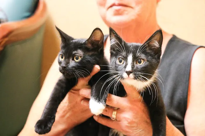 Willowrun Veterinary Hospital Picture 10