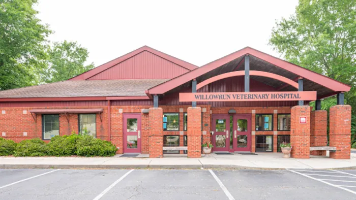 Willowrun Veterinary Hospital Picture 8