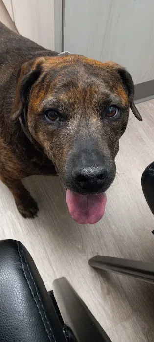 Capps Veterinary Clinic Picture 1