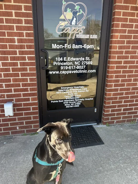 Capps Veterinary Clinic Picture 2