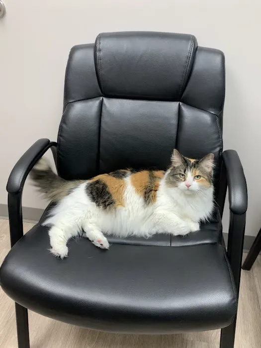 Capps Veterinary Clinic Picture 9