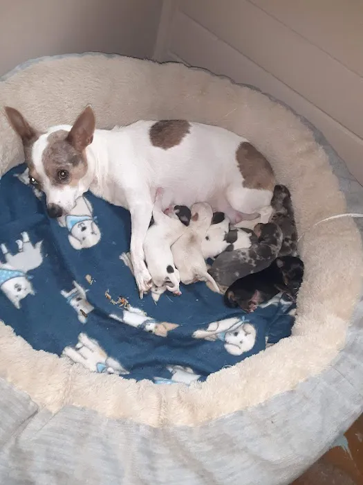 Quality Care Animal Hospital Picture 8