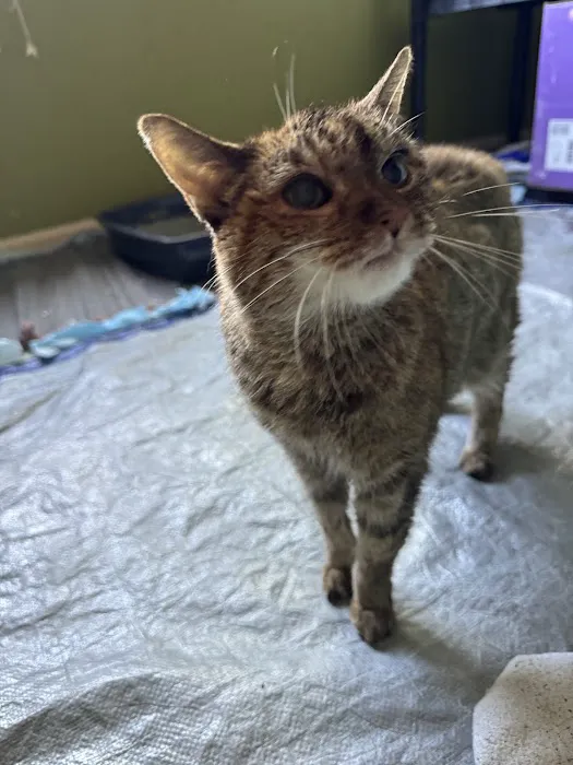 Quality Care Animal Hospital Picture 1
