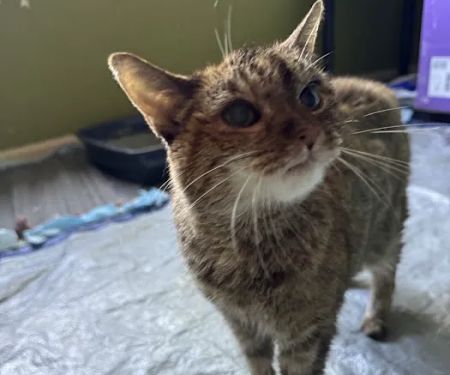 Quality Care Animal Hospital