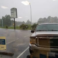 Carolina Crossing Veterinary Clinic ico