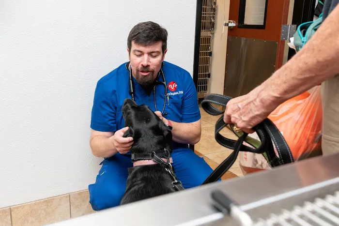 PetSmart Veterinary Services - Garner Picture 7