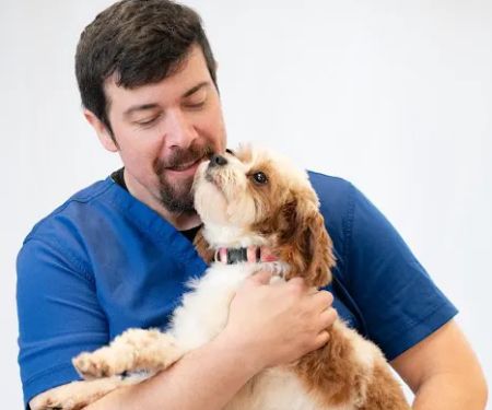 PetSmart Veterinary Services - Garner
