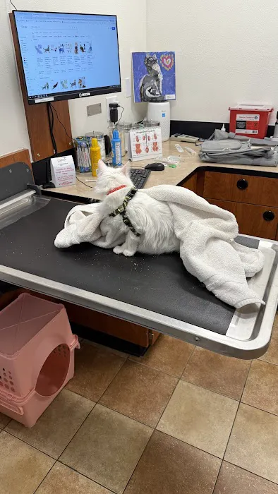 PetSmart Veterinary Services - Garner Picture 9