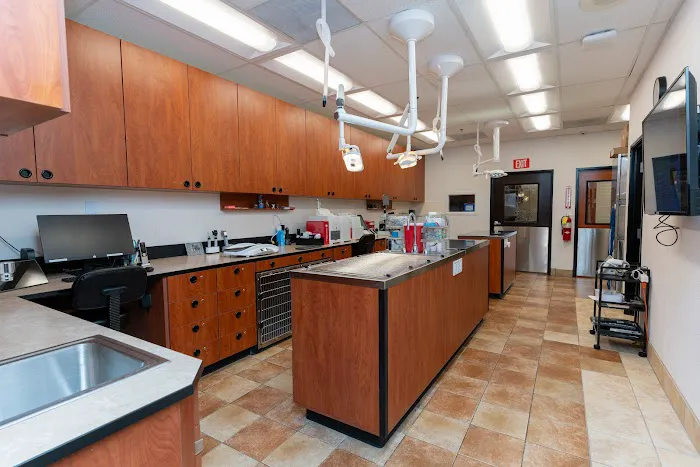 PetSmart Veterinary Services - Garner Picture 6
