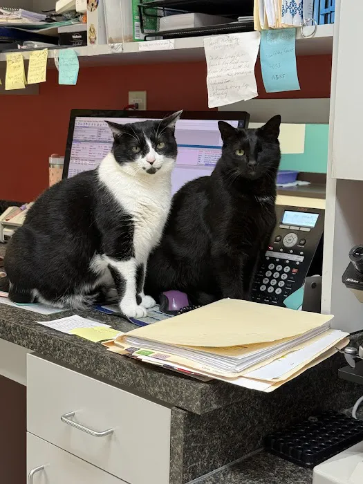 Blackstone Animal Clinic LLC Picture 9