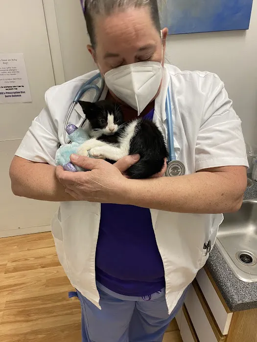 Lake Wheeler Veterinary Hospital Picture 7