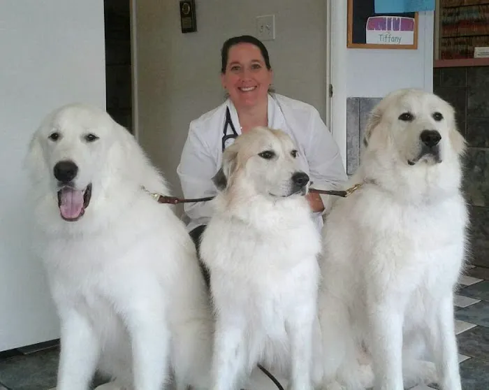 Lake Wheeler Veterinary Hospital Picture 10