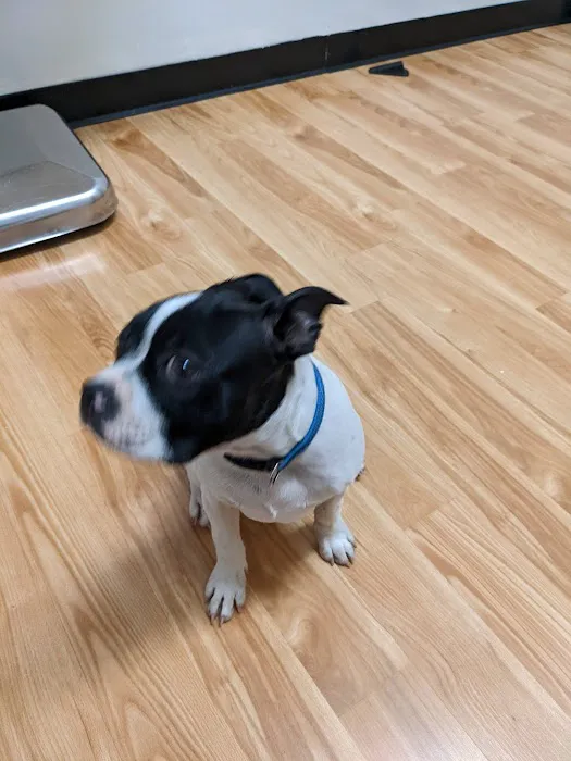 Lake Wheeler Veterinary Hospital Picture 6