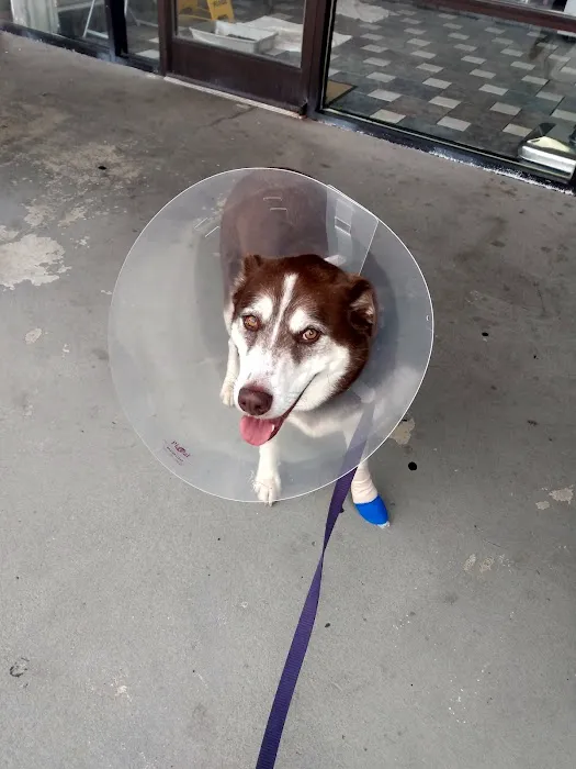 Lake Wheeler Veterinary Hospital Picture 8