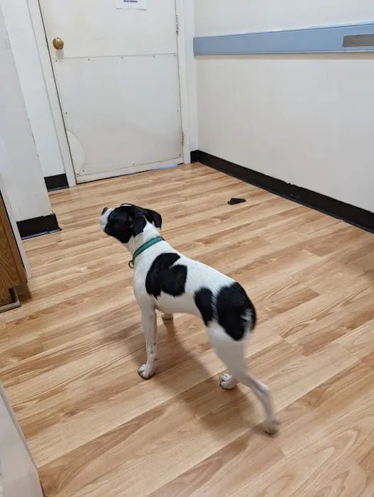 Lake Wheeler Veterinary Hospital Picture 3