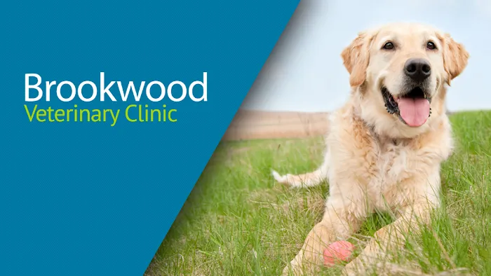 Brookwood Veterinary Clinic Picture 10
