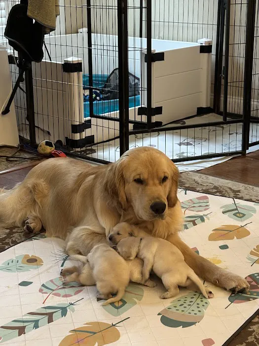 Banfield Pet Hospital Picture 5