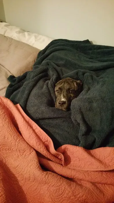 Banfield Pet Hospital Picture 2