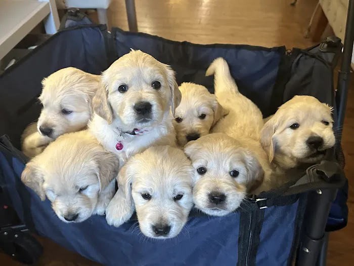 Banfield Pet Hospital Picture 7