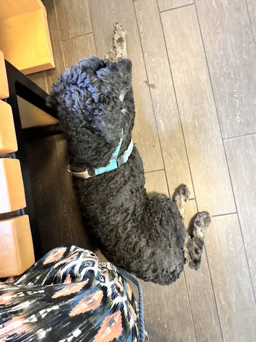 Banfield Pet Hospital Picture 9