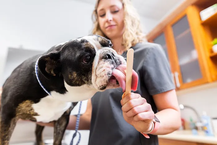 Trinity Animal Hospital Picture 5