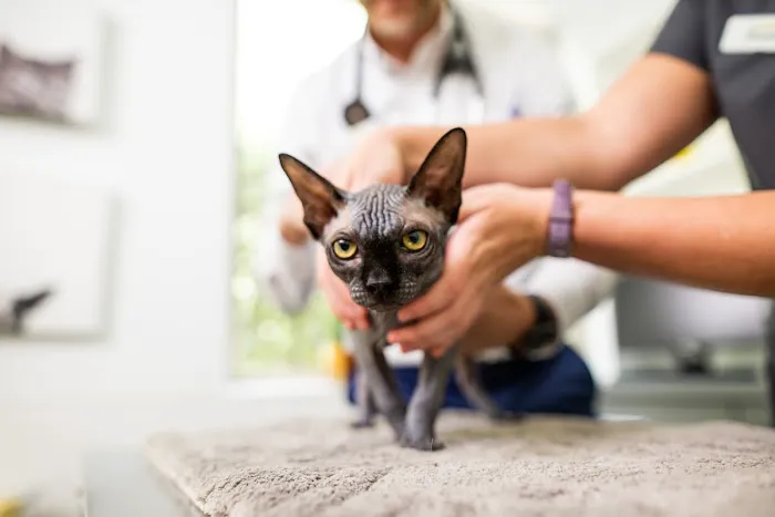 Trinity Animal Hospital Picture 7