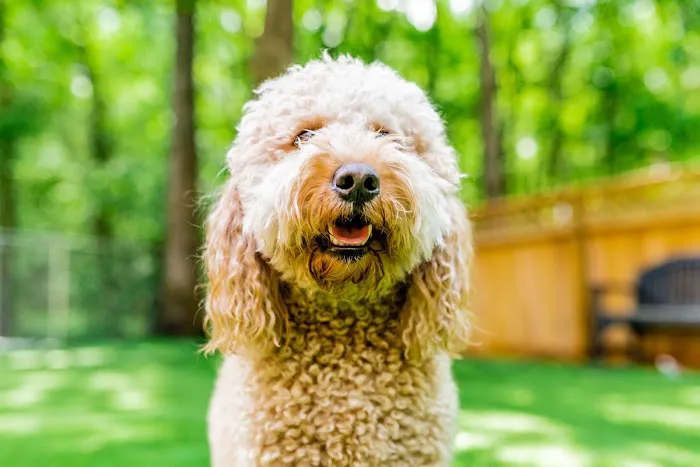Trinity Animal Hospital Picture 9