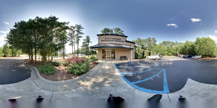 Holly Springs Veterinary Hospital Picture 3