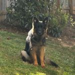 Vetco Total Care Animal Hospital