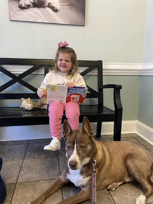 Hemlock Bluffs Animal Hospital Picture 1